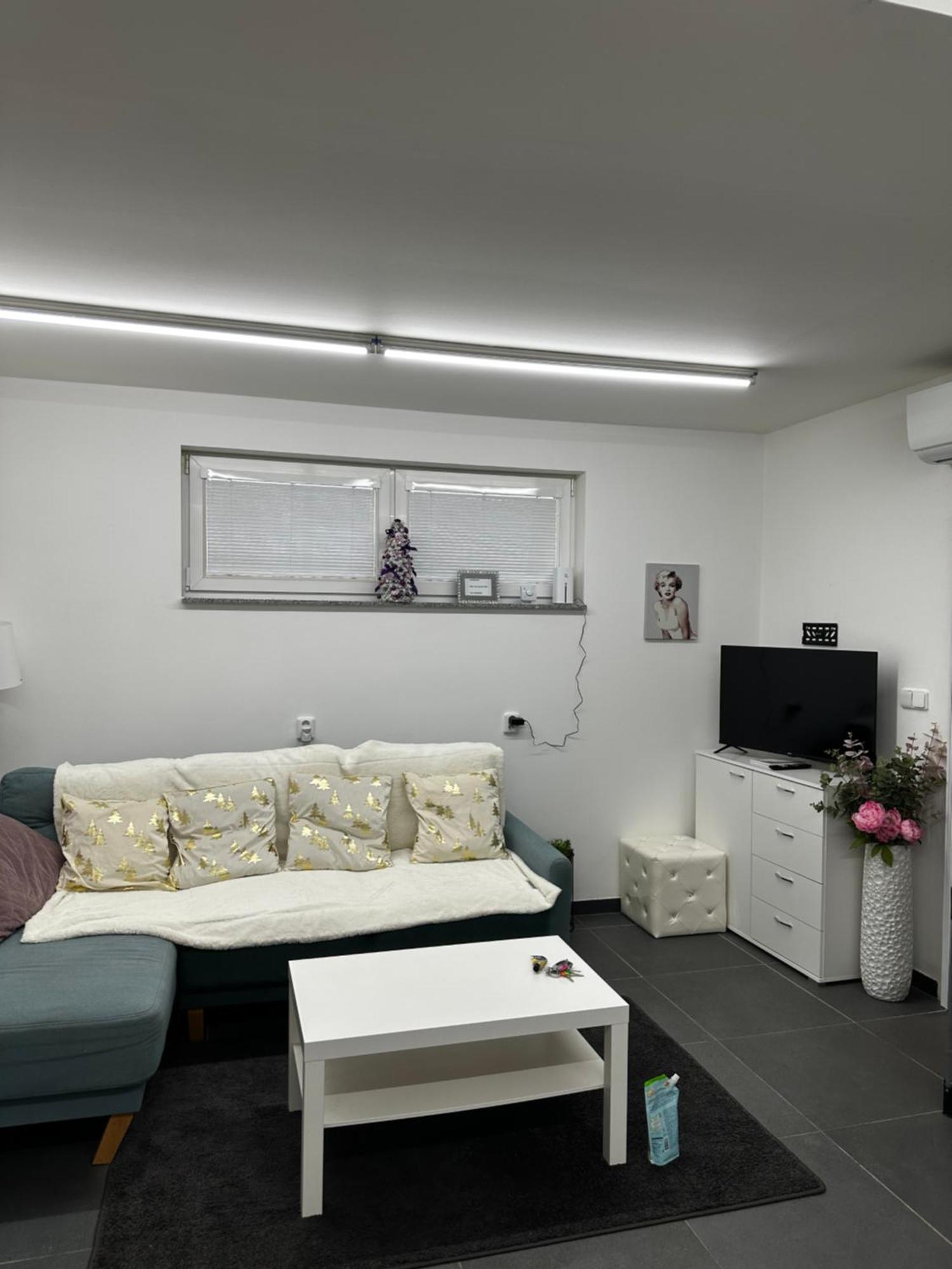 Vinor Apartment Prague